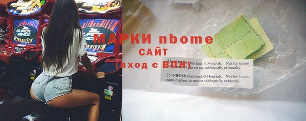 прущие грибы Абаза