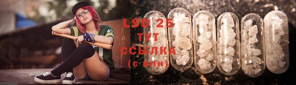 прущие грибы Абаза