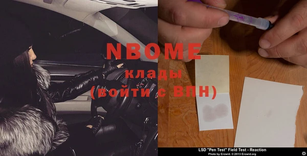 прущие грибы Абаза
