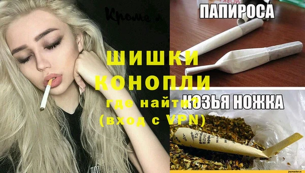 прущие грибы Абаза