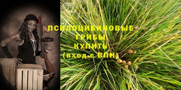 хмурый Абдулино