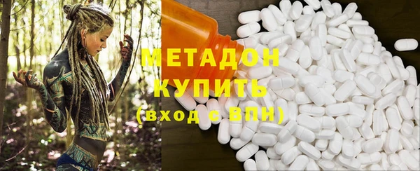 прущие грибы Абаза