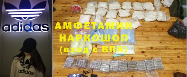 прущие грибы Абаза
