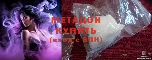 прущие грибы Абаза