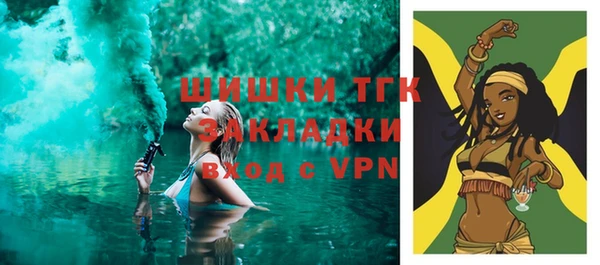 прущие грибы Абаза