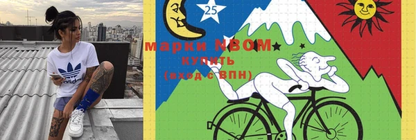 прущие грибы Абаза