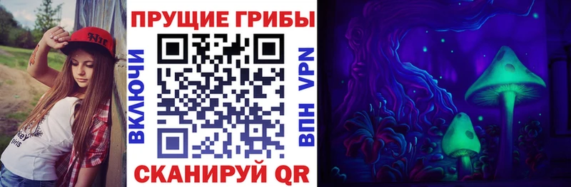 Псилоцибиновые грибы Psilocybe Киров